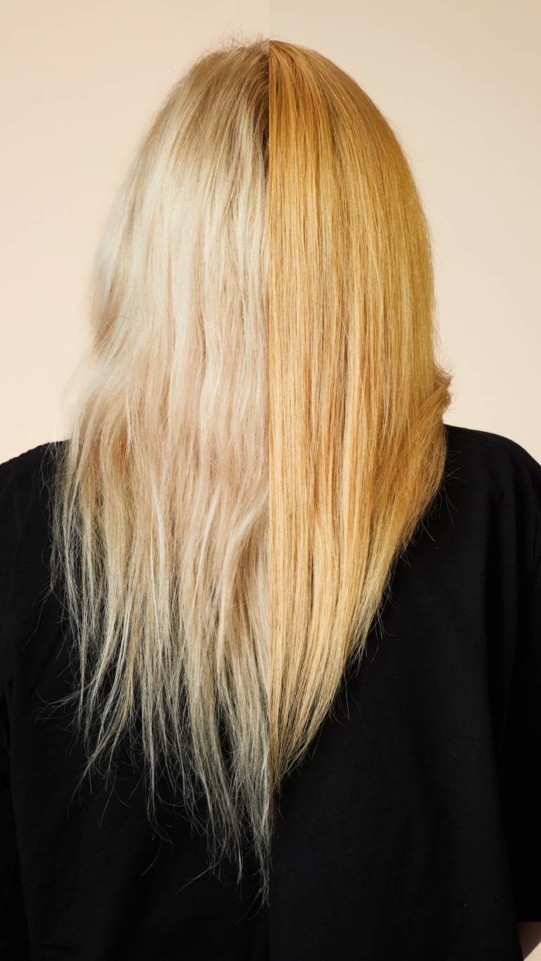 22586A36-2E66-F5A8-9D47-E439E5BE93BC