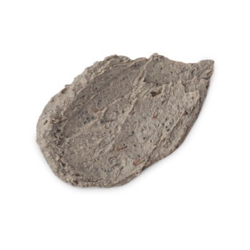 Persephone's Pomegranate