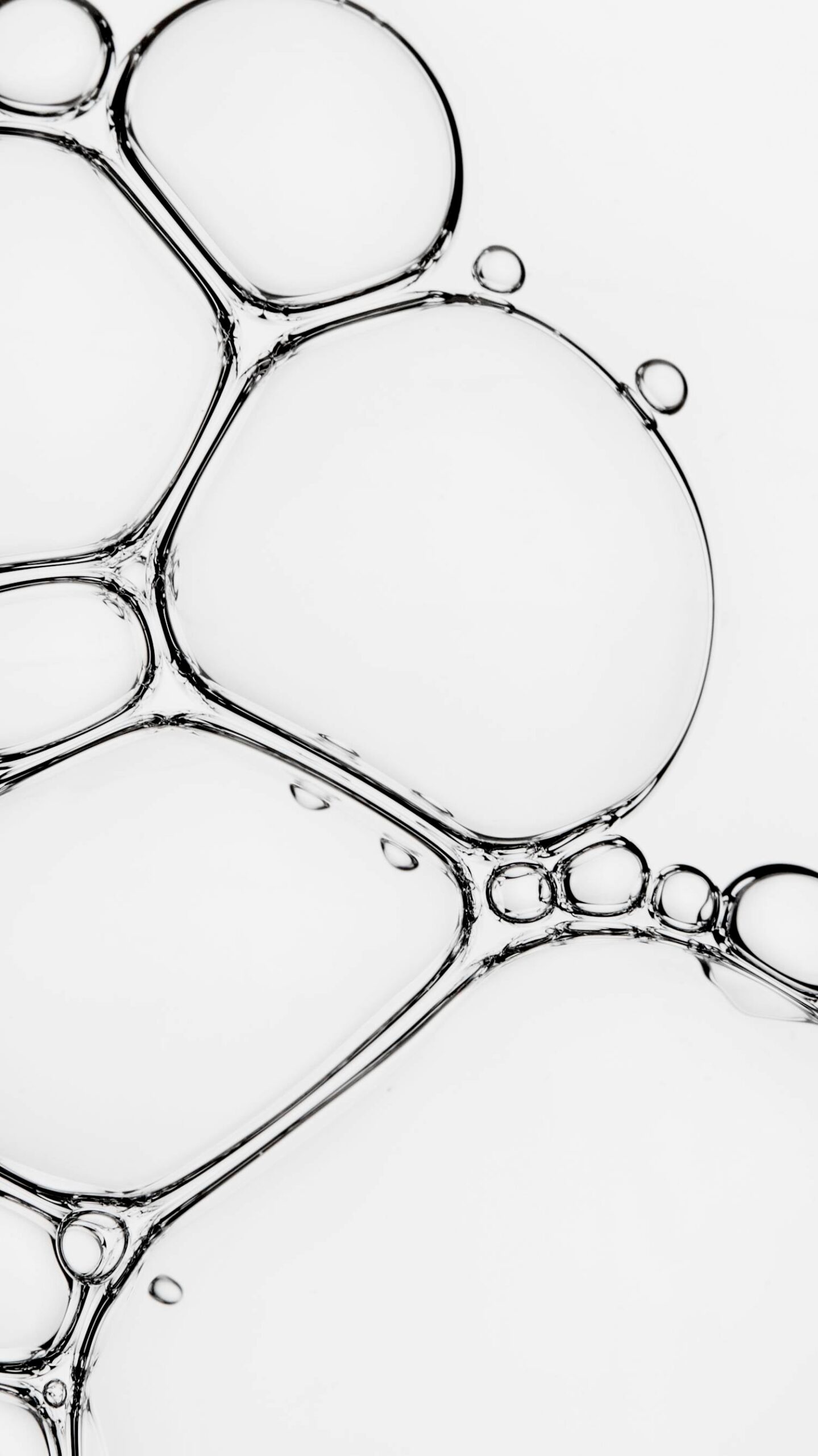 A41909D7-CD2A-FC58-CB82-1D2F9EB76B15